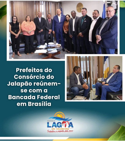 Prefeitos do Consorcio do Jalapão reúnem-se com a Bancada Federal em Brasilia