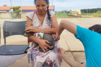 Campanha de Vacinação contra a Raiva em Lagoa do Tocantins imuniza mais de 120 animais