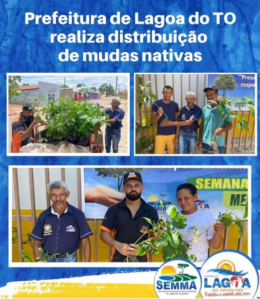 Prefeitura de Lagoa do TO realiza distribuição de mudas nativas